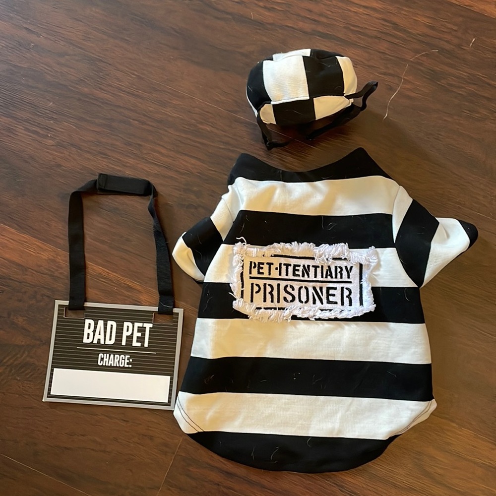 Super cute pet Halloween costume!